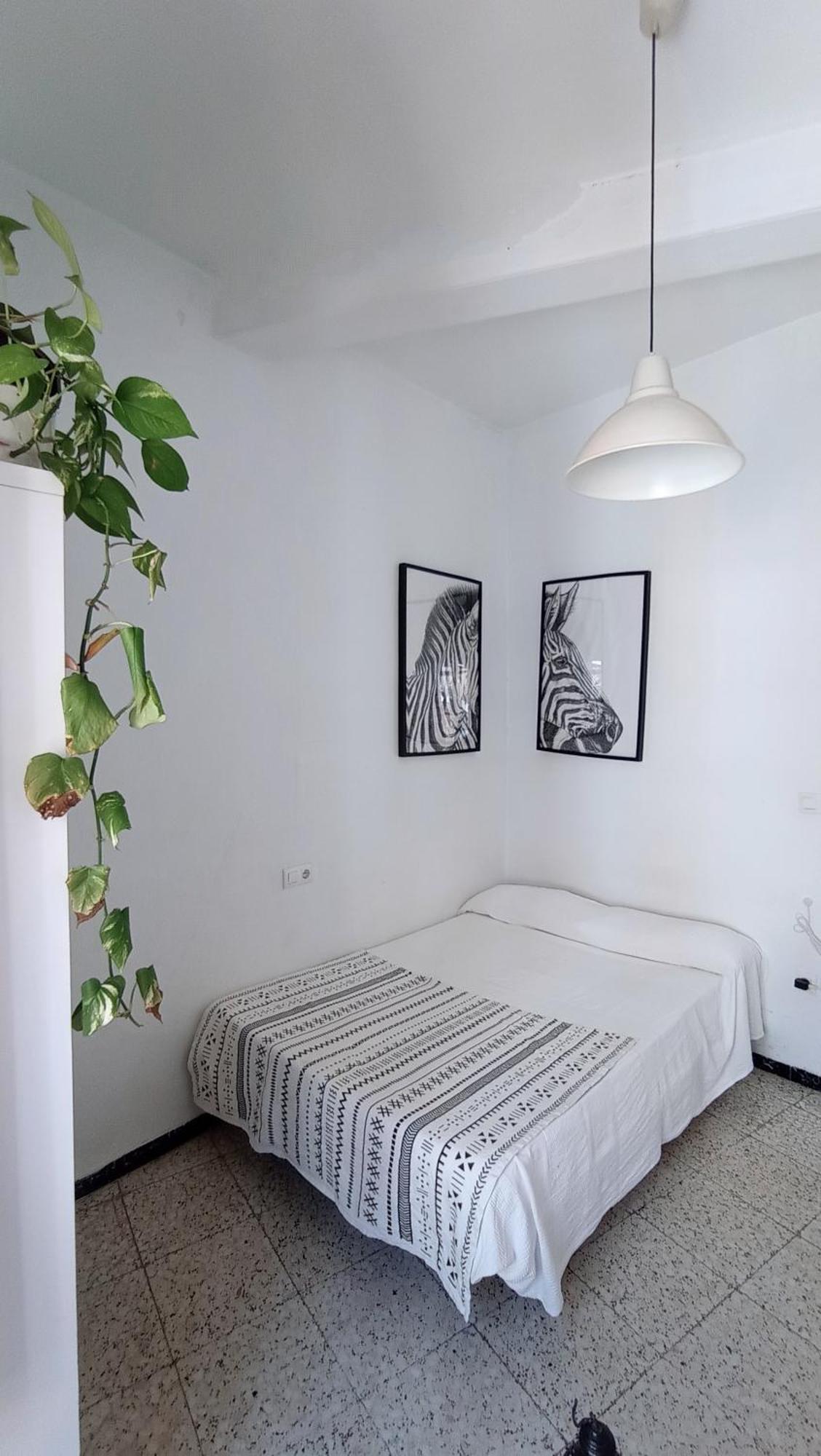 Preciosa Habitacion En Pleno Centro De Sevilla Ideal Para Hacer Turismo Y Vivir La Ciudad Dış mekan fotoğraf